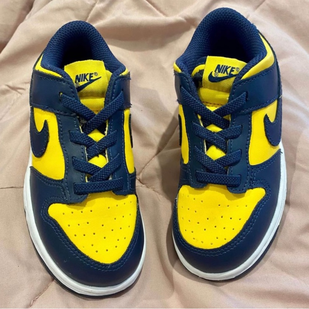 10c dunks no box